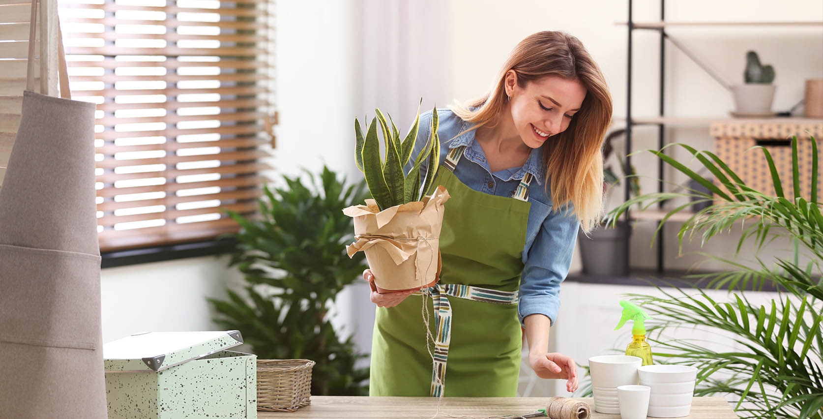 tips-to-decorate-your-new-apartment