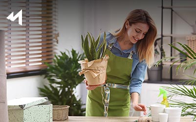 tips-to-decorate-your-new-apartment